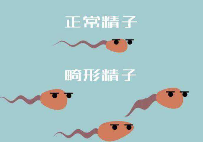 第三代试管私人医院选择指南与和睦家服务解析